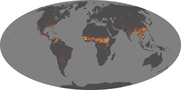 Global Map Fire Image 80