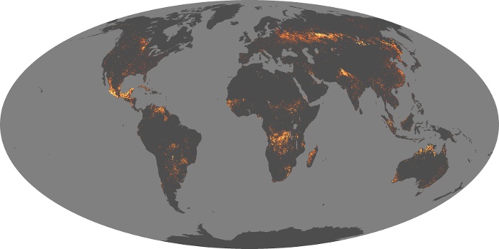 Global Map Fire Image 111