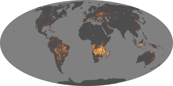 Global Map Fire Image 87