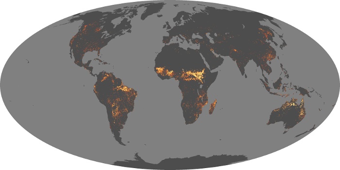 Global Map Fire Image 117