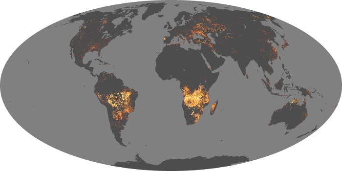 Global Map Fire Image 98