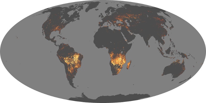 Global Map Fire Image 99