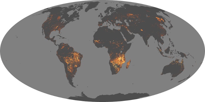 Global Map Fire Image 128