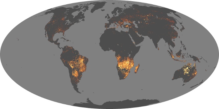 Global Map Fire Image 139