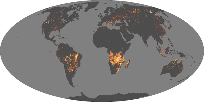 Global Map Fire Image 150