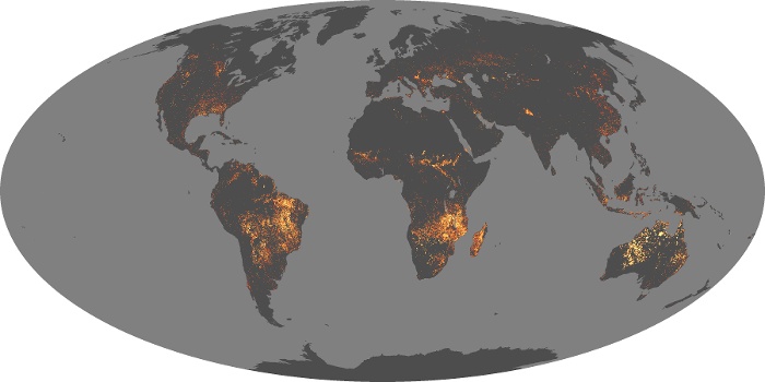 Global Map Fire Image 124
