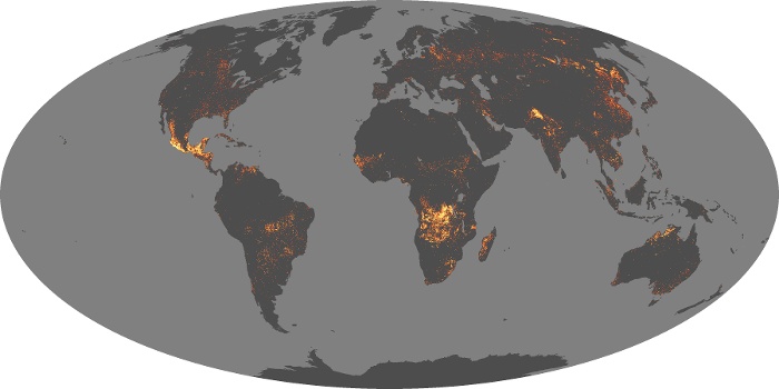 Global Map Fire Image 131