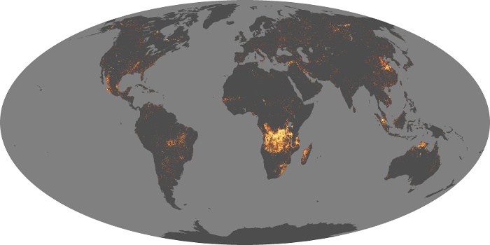 Global Map Fire Image 160