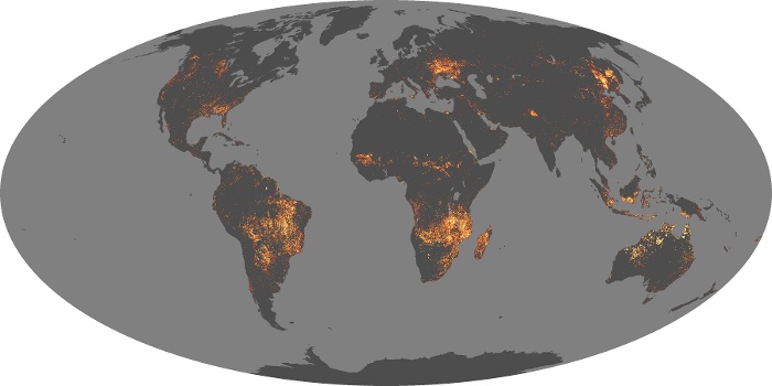Global Map Fire Image 176
