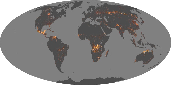 Global Map Fire Image 155