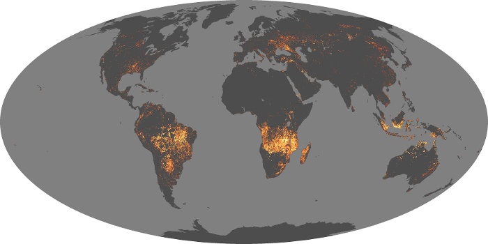 Global Map Fire Image 111