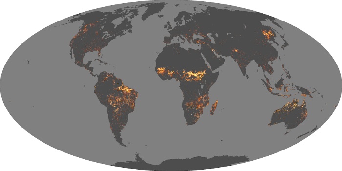 Global Map Fire Image 161