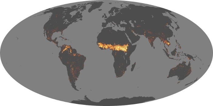 Global Map Fire Image 163