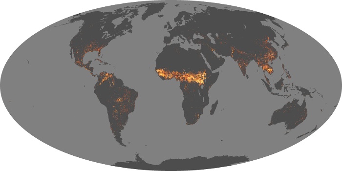 Global Map Fire Image 116