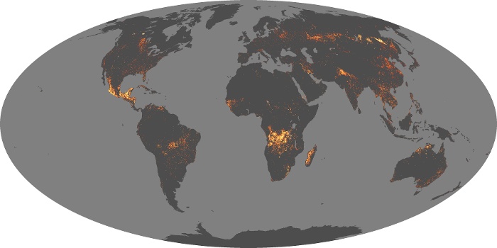 Global Map Fire Image 195