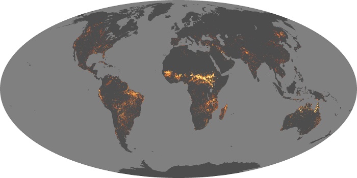 Global Map Fire Image 201