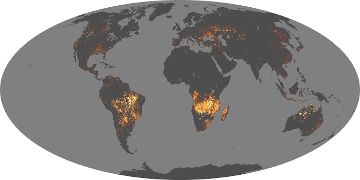 Global Map Fire Image 183