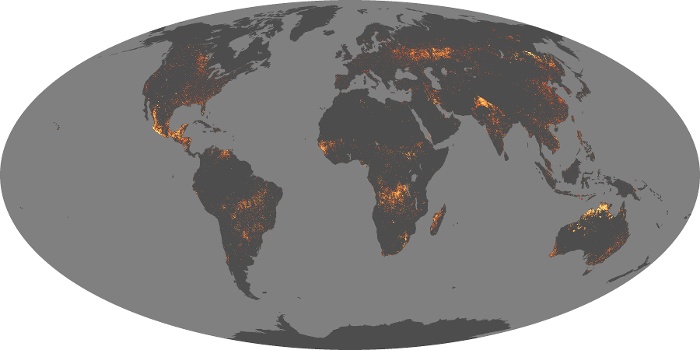 Global Map Fire Image 191