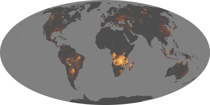 Global Map Fire Image 194