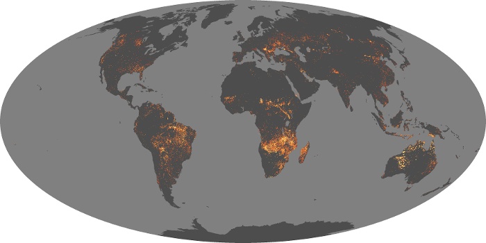 Global Map Fire Image 196