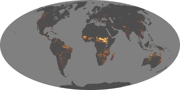 Global Map Fire Image 197