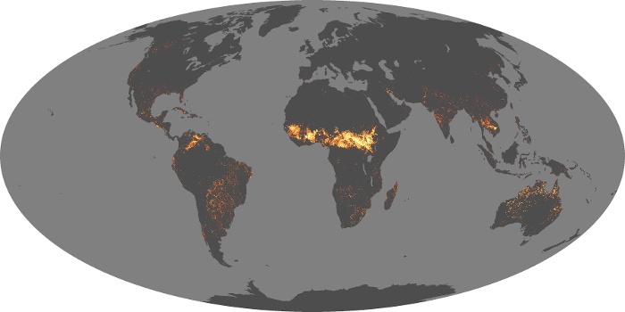 Global Map Fire Image 198