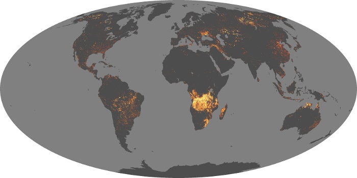 Global Map Fire Image 205