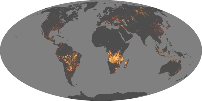 Global Map Fire Image 206