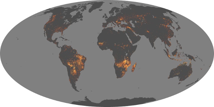 Global Map Fire Image 208