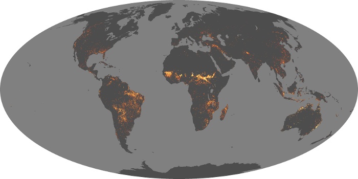 Global Map Fire Image 209