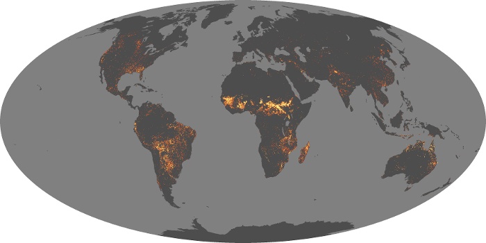 Global Map Fire Image 221