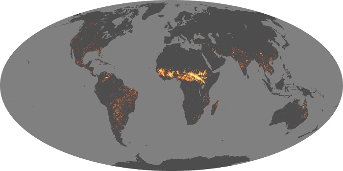 Global Map Fire Image 250