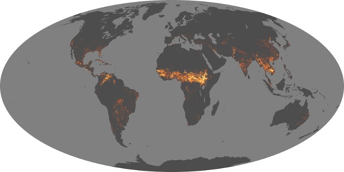 Global Map Fire Image 224
