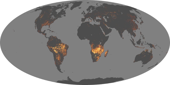Global Map Fire Image 271