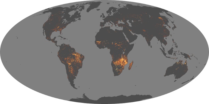 Global Map Fire Image 272