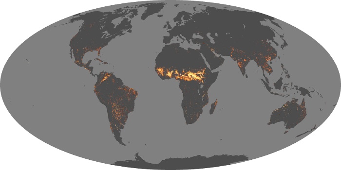 Global Map Fire Image 274