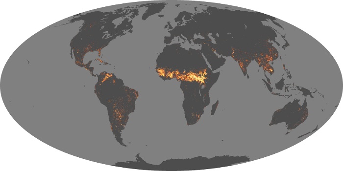 Global Map Fire Image 275