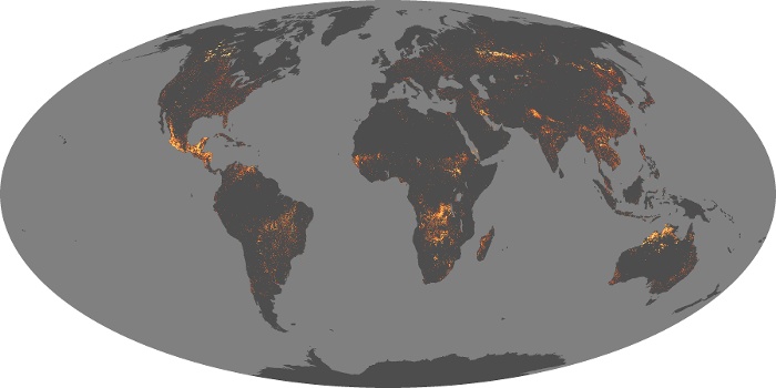 Global Map Fire Image 279