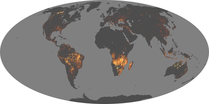 Global Map Fire Image 283