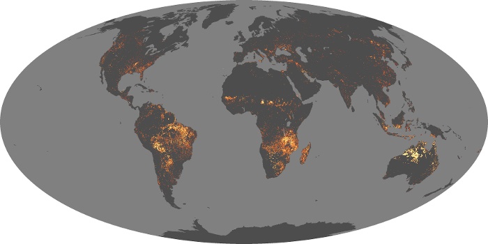 Global Map Fire Image 256