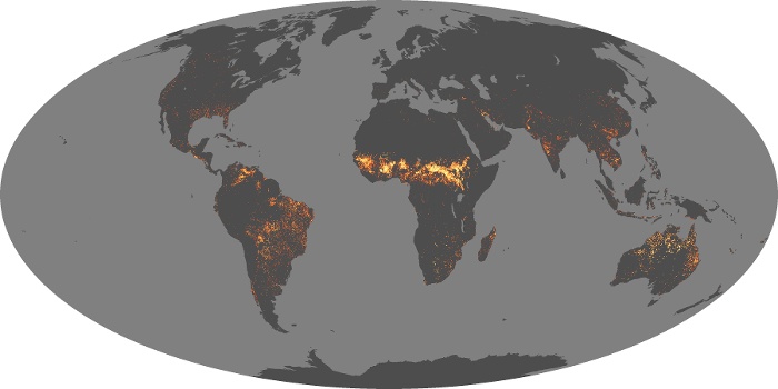 Global Map Fire Image 258