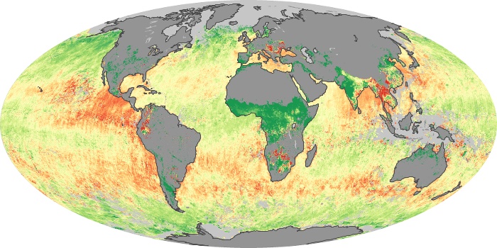 Global Map Aerosol Size Image 20