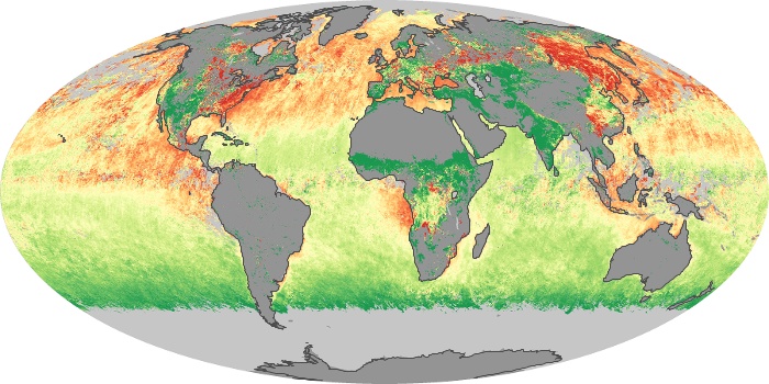 Global Map Aerosol Size Image 24