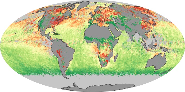 Global Map Aerosol Size Image 49