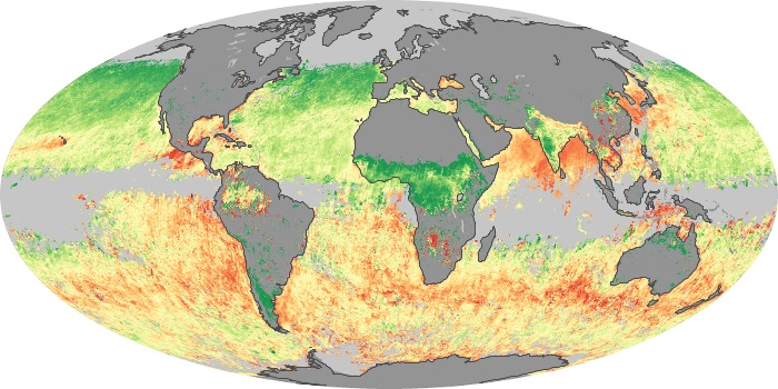 Global Map Aerosol Size Image 115