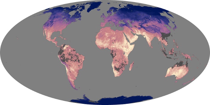 Global Map Land Surface Temperature Image 1