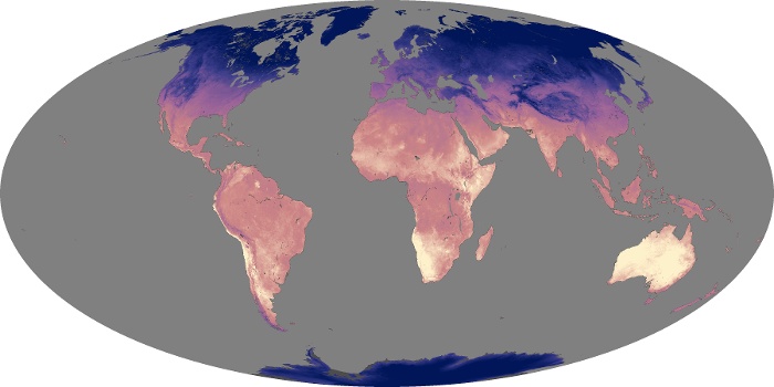 Global Map Land Surface Temperature Image 24