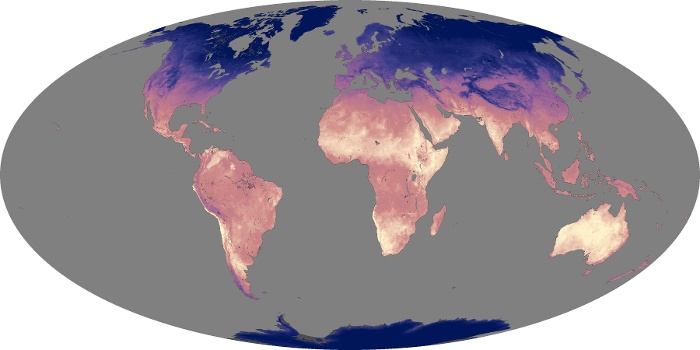 Global Map Land Surface Temperature Image 8