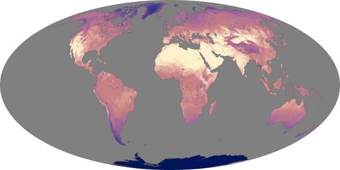 Global Map Land Surface Temperature Image 12