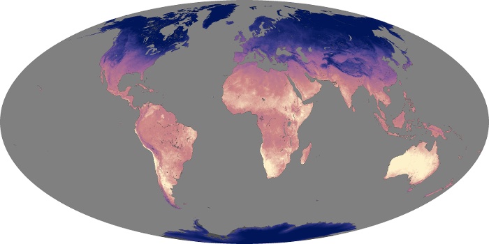 Global Map Land Surface Temperature Image 19